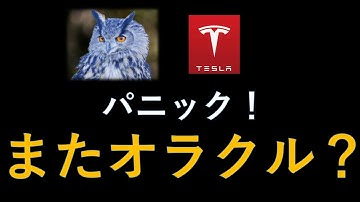 テスラ株　パニック！大幅下落...またオラクル？原因の「青いフクロウ」とは何者？