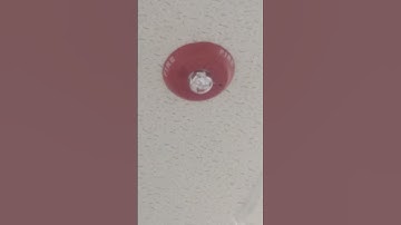 System Sensor L Series PC2RL Horn Strobe