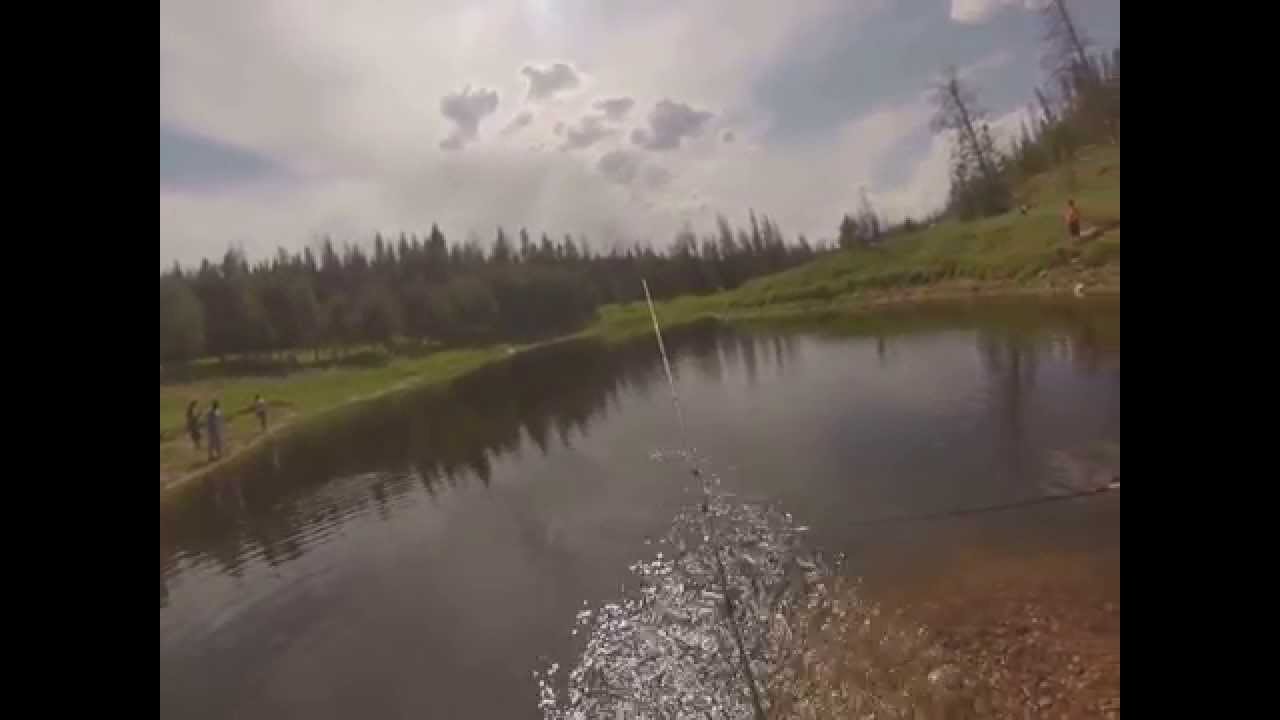 Brook trout fishing - YouTube