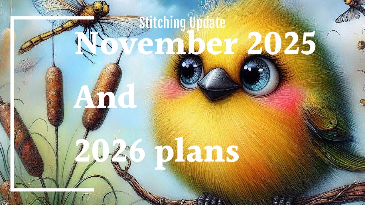 Stitching Update - November 2025 and 2026 Plans