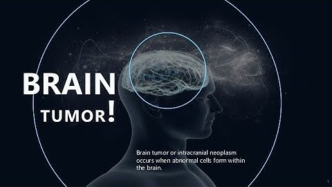 Brain Tumor  Detection - PyTorch Model (CNN )