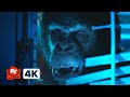 Primate (2025) 4K - Hide From the Rabid Monkey! (5/10) | Movieclips