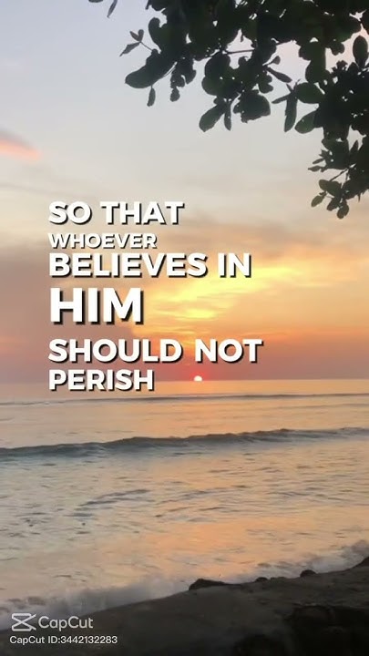John Chapter 3 Verse 3 16 godsaves godlovesyou god godisgood YouTube john-chapter-3-verse-3-16-godsaves-godlovesyou-god-godisgood-youtube