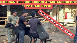 5 KE DAN 100 BOSH KELDI 40 DONASI TALAMON BO‘LDI