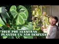 Tour de nuestras Plantas de Interior🥶 ¡Actualización invierno 2022!