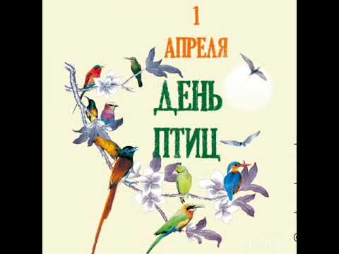 1 апреля день птиц картинки