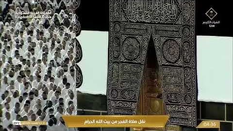 تلاوة فجر اليوم من بيت الله الحرام بصوت الشيخ بدر التركي #القرآن_الكريم #صوت_القرآن  #المسجد_الحرام