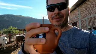 Visitando el Campo y Tomando PAJARETE: leche bronca con alcohol - Abril 2024 by Viviendo el Sueño Mexicano 1,556 views 1 month ago 4 minutes, 48 seconds