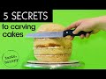 5 Secrets to CARVING CAKES into SHAPES for Beginners | Shaped Cakes | Cake Sculpting (Pro Tips!)