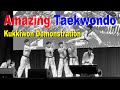 Amazing taekwondo  kukkiwon demonstration team