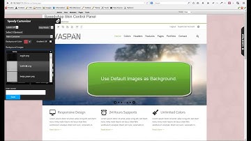 Vaspan DotNetNuke Skin Customizer - SpeedyApplication.com