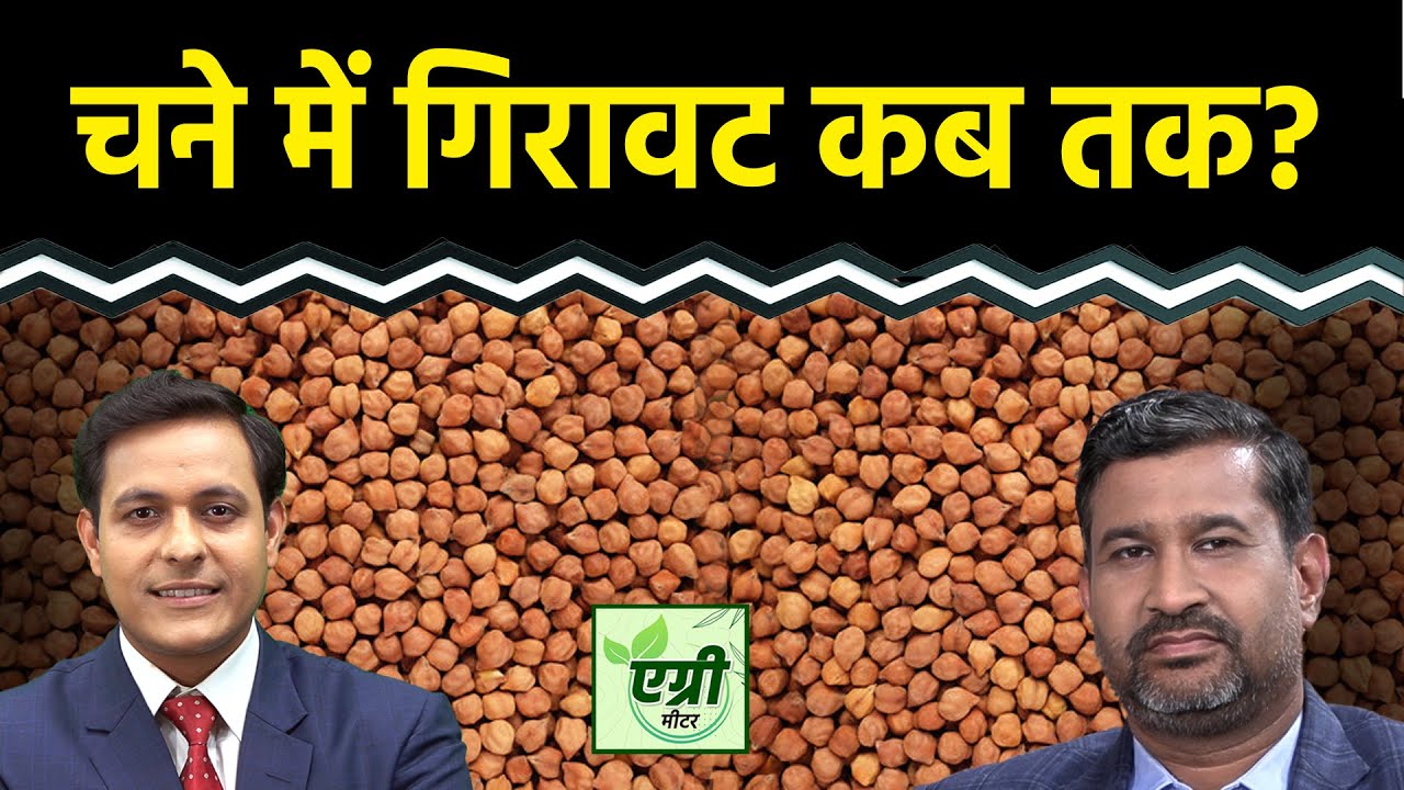 Commodity Market : खपत मंडियों में क्यों बढ़ रही चने की आवक? Trading | Agri Commodity