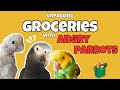 Funny but angry parrots help unpack groceries  amazon parrot attacks dad 