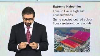 BT731_Topic037 Guide