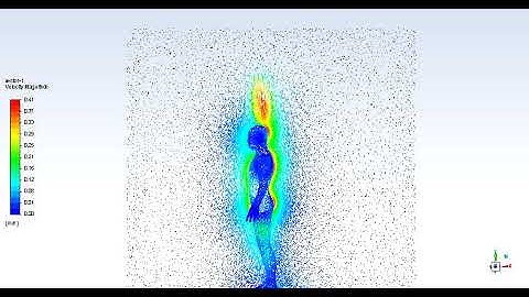 Velocity vectors, CFD simulation (RANS, steady-state) of the heat generated by a standing subject