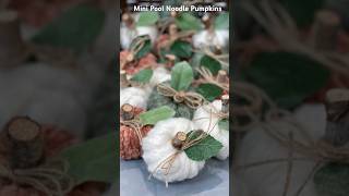 Mini Pool Noodle Pumpkins