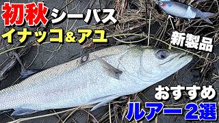 Rapham 120 Jointed（ラファム 120 ジョインテッド） | spika