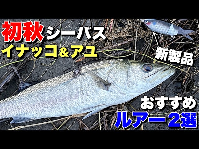 MIRACLE WORKS【ﾐﾗｸﾙﾜｰｸｽ】メケメケ90F水中動画 ルアー シーバス 釣り