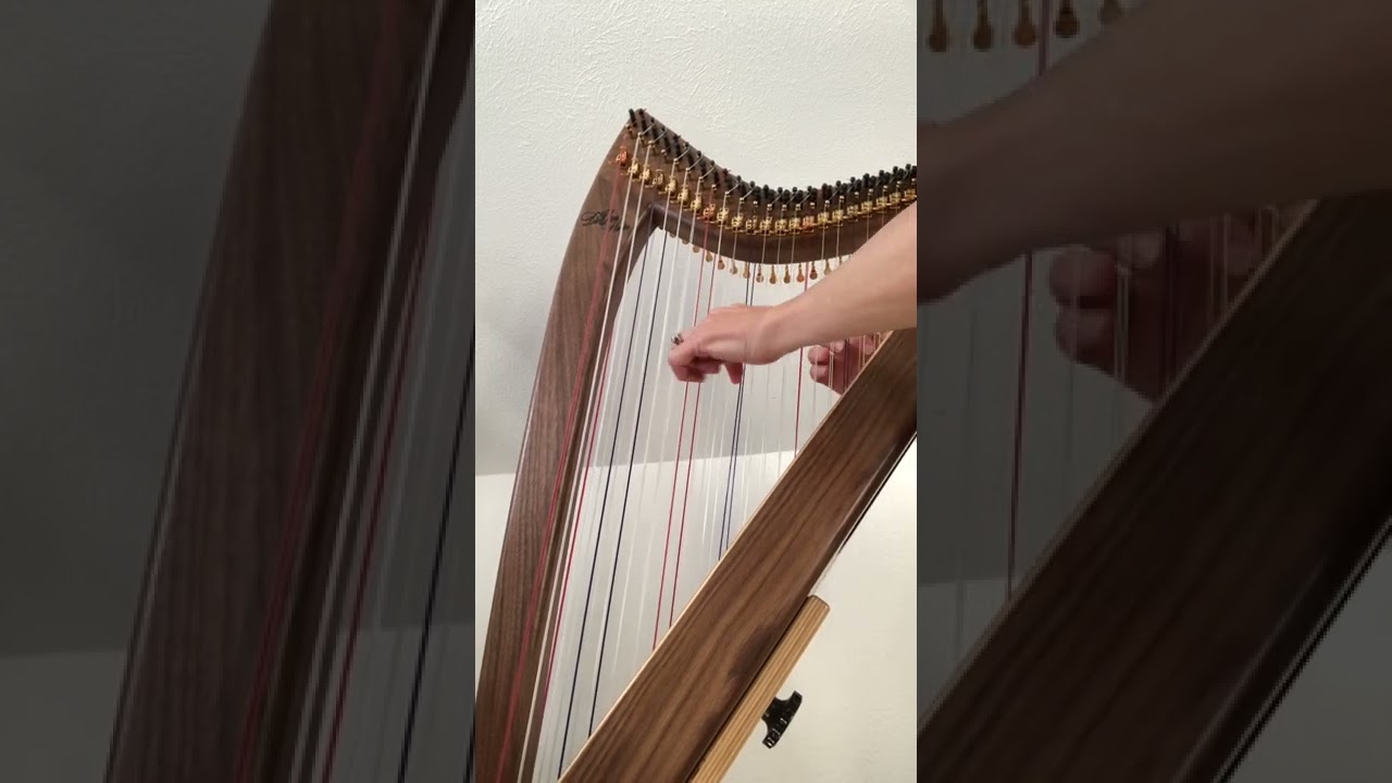 アメリカ・コロラド州のハープ｜Blevins Harp -グレースハープ