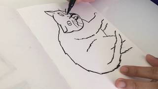 INKTOBER Day 9: SCREECH | YPanda Creates