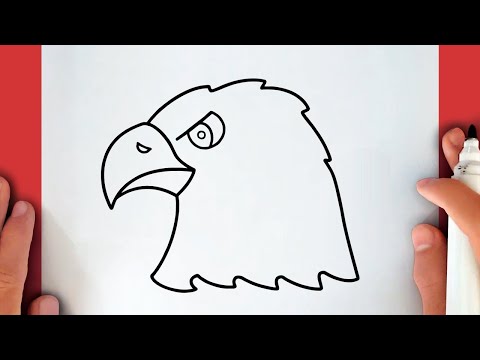 كيفية رسم نسر/ كيفية رسم نسر سهل خطوة بخطوة تعلم الرسمhow to draw eagle -  YouTube