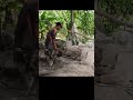 These stones look like trees