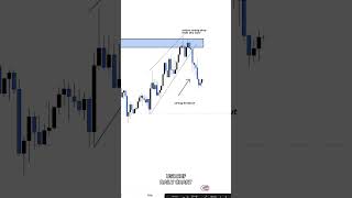Trade Signals: Link In Bio