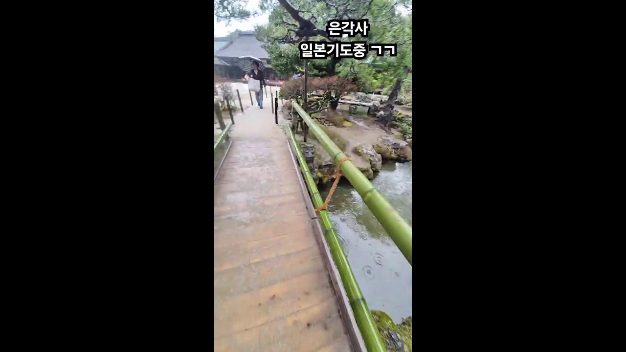 미래보살  라이브 방송 #여캠 #무당 #용한점집 #사주 #수다 #고민상담