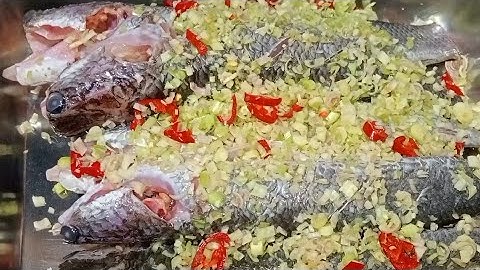 Cá lóc muối sả ớt, đừng cho muối trực tiếp vào cá để muối làm cách này cá thấm điều hơn 