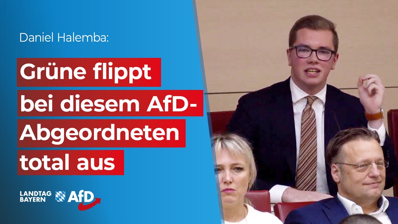 Grüne flippt bei diesem AfD-Abgeordneten total aus