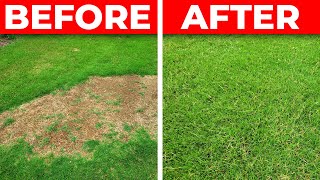 How to Fix a Bare Spot in the Lawn  3 Tips for Fast Repair