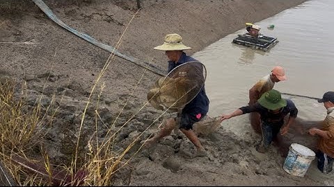 Lên hầm cá 1 tỷ 😱 