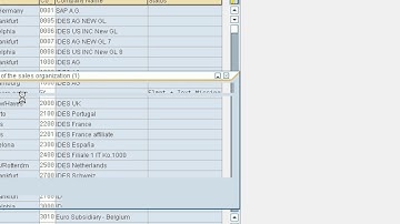 Assignment SD  SALES ORGANIZATION TO  COMPANY CODE