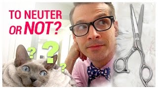 To Neuter or Not to Neuter...(or Spay) - What the Vet Says