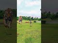 😮The Magic of VFX in 10 Seconds 😮 #VFXShorts #Filmmaking #TrendingVFX #MagicEdit #EpicVisuals