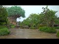 A Rainy Day At Disney's Animal Kingdom | Does The Weather Still Affect The Crowd Levels?
