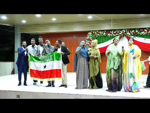 XIDIGAHA GEESKA OOKA ILMAYSIIYEY SHACABKA S.LAND HEES CUSUB DHAGAR 2020