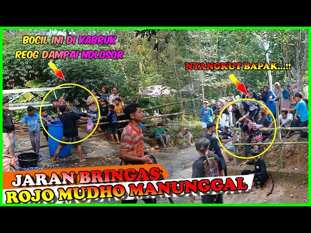 REOG JARAN BRINGAS // ROJO MUDHO MANUNGAL // LIVE : BELUKERTO.SEWUREJO.MOJOGEDANG.KRA #viral class=