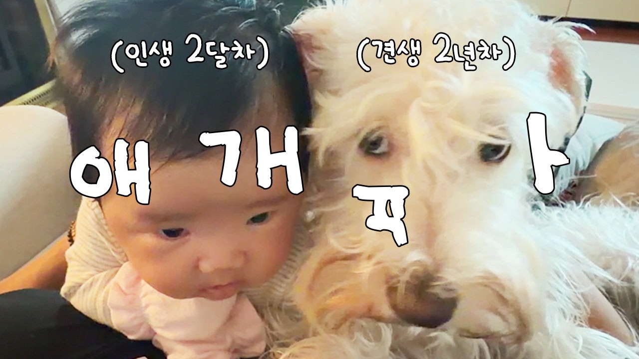 (8주 차/Week 8 ONAIR! /Eng)온이를 질투하는 봉남이!//Bongnam, jealous of On! Let's get along!