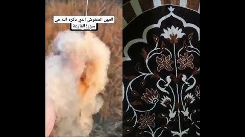 العهن المنفوش الذي ذكره الله في سورة القارعة