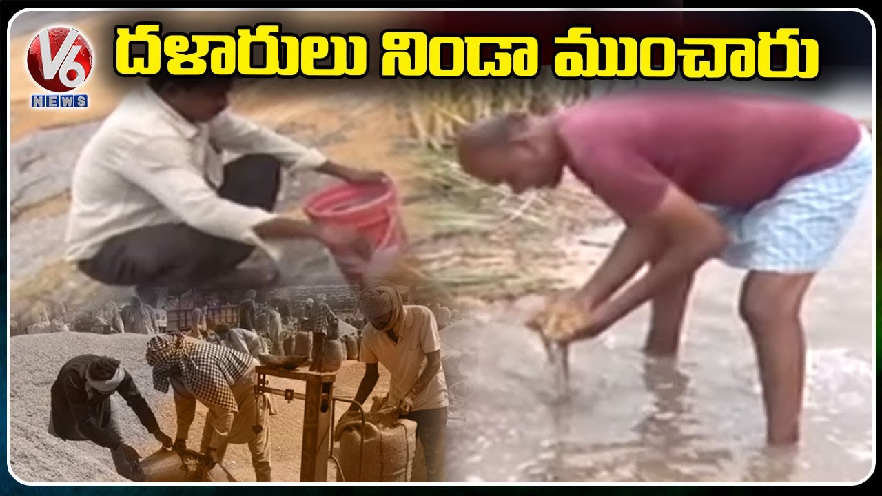 Farmers In Trouble After Unseasonal Rains Destroy Paddy Crops | V6 News ...
