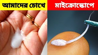 Microscope এ দেখা যায়।।? 5 Things You Can Only See Under Microscope bangla facts