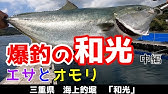 海上釣堀 銀鮭 サーモン 攻略 Youtube 海上釣堀 銀鮭 サーモン 攻略 Youtube