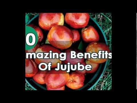 What are the benefits of jujube seeds?