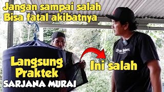 CARA SAUNA MURAI BATU YANG BAIK DAN BENAR - SARJANA MURAI || PART 2