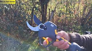 ✂️ Spring pruning made easier! Watch the PR-E40 electric pruner in action on real fruit trees 🌳