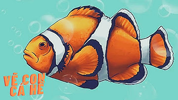 Hướng dẫn vẽ con Cá hề đơn giản mà lại cực đẹp