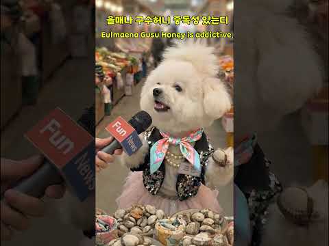 아따, 내 발꼬순내가 비법인디 뭔 소리다요 (본격 시장 먹방) #fun #애완동물 #쇼츠 #shorts #웃긴영상 #playlist