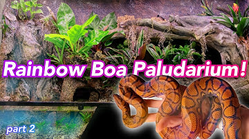 270 Gallon Boa Paludarium Build pt2 // Waterfall, Plants, Snake
