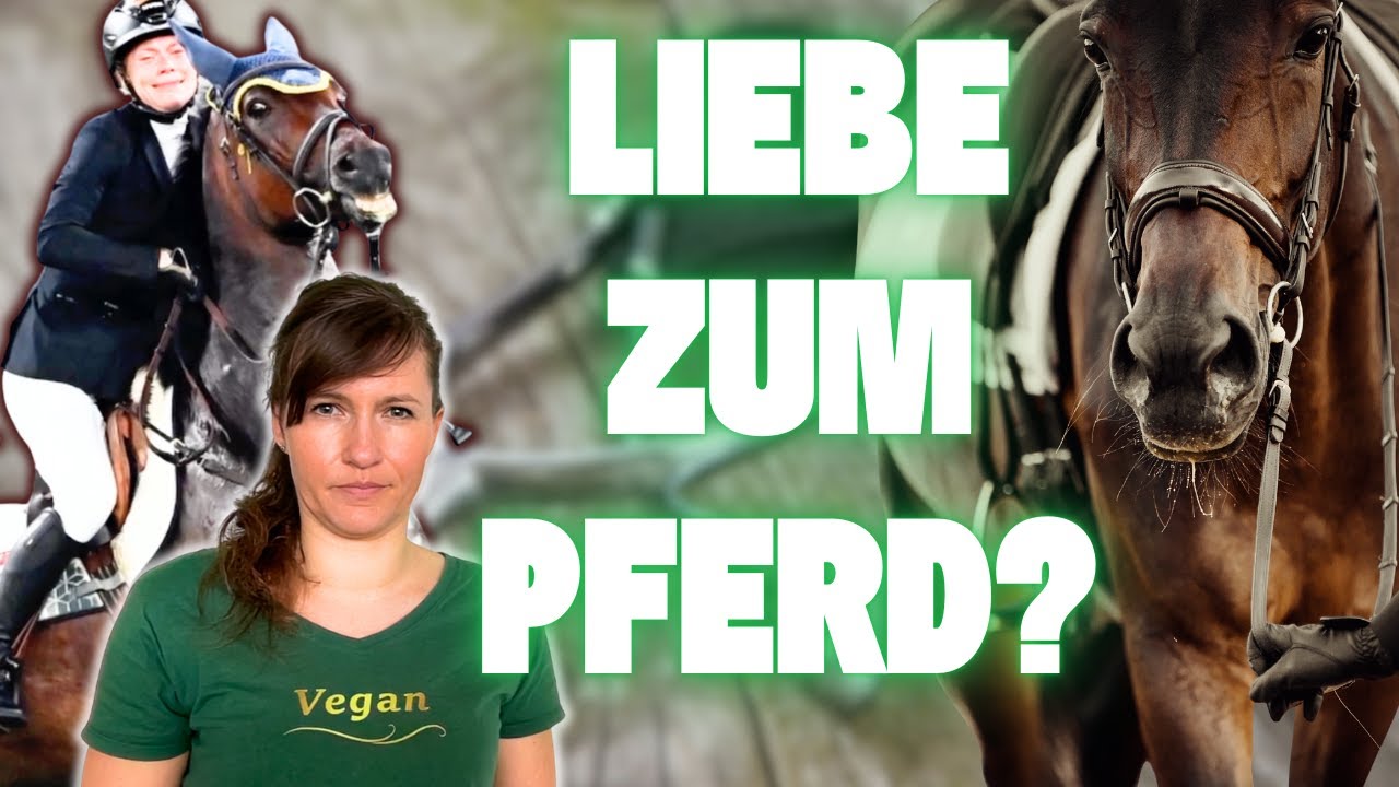 REAKTION: Pferde - Geliebt oder Gequält? TEIL 1